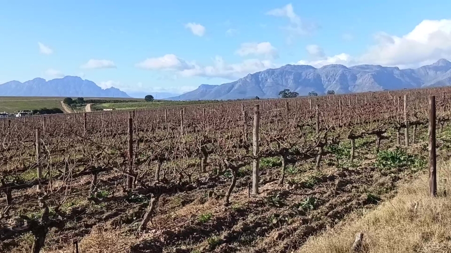 5 Bedroom Property for Sale in Stellenbosch Farms Western Cape